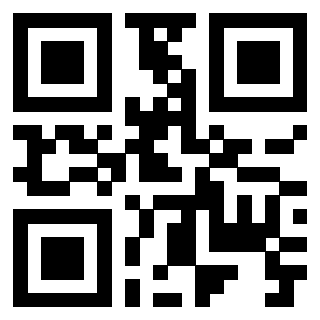 Il Qr Code di 3919084516
