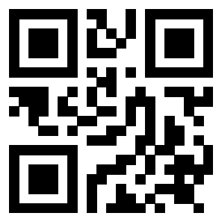 QrCode di 3919084569