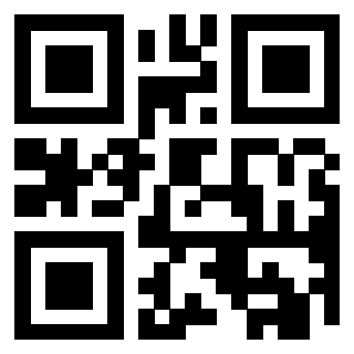 Il Qr Code di 3919084577