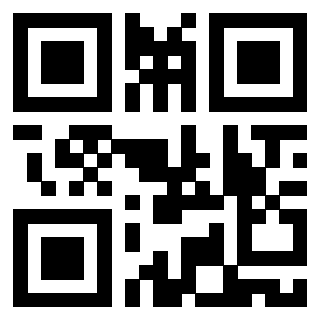 3919084581 Qr Code associato