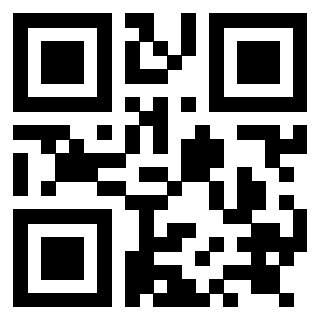 Il Qr Code di 3919084582