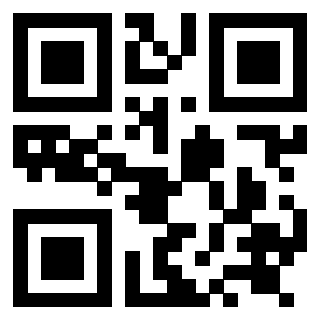 Il Qr Code di 3919084583
