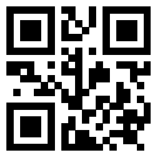 3919084599 QrCode associato