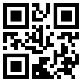 Il Qr Code di 3919084627
