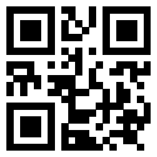 Il Qr Code di 3919084635