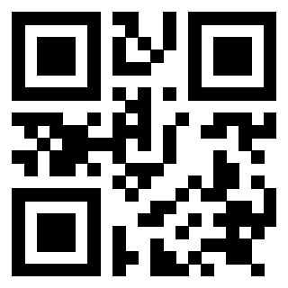 Il Qr Code di 3919084640