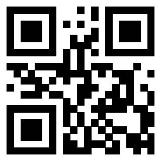 Il Qr Code di 3919084642
