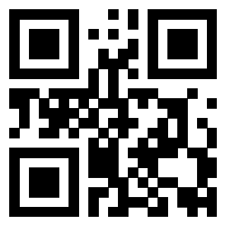 Il Qr Code di 3919084643