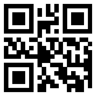 Il Qr Code di 3919084663