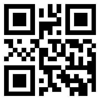 Il Qr Code di 3919084664
