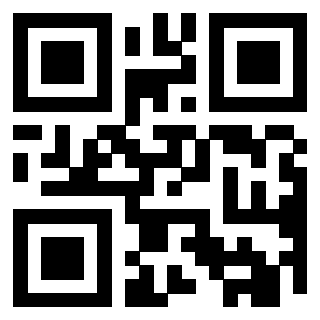 QrCode di 3919084672
