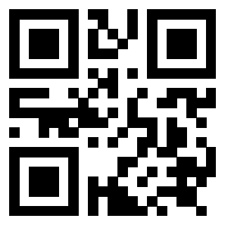 Il Qr Code di 3919084678