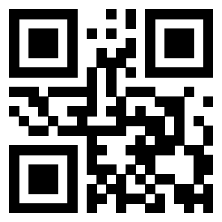 Immagine del QrCode di 3919084713