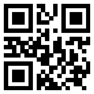 3919084729 QrCode associato
