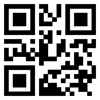 Immagine del Qr Code di 3919084734