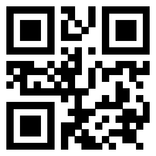 Il Qr Code di 3919084774