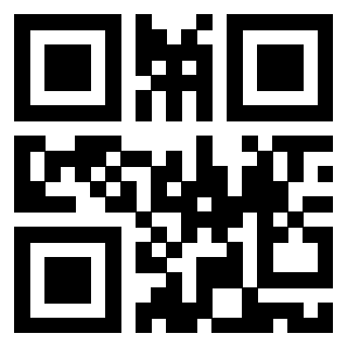 Il Qr Code di 3919084823