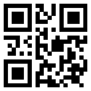 Scansione del Qr Code di 3919084847