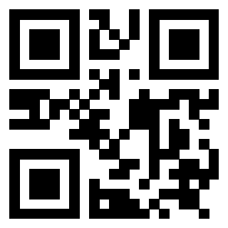 Il Qr Code di 3919084857