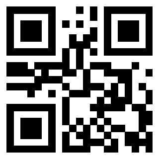 Il QrCode di 3919084882