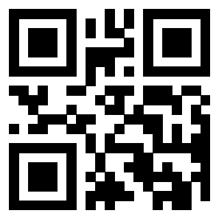 Il Qr Code di 3919084883
