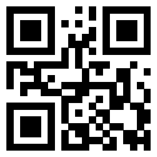 QrCode di 3919084905