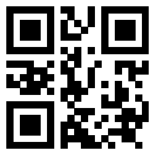 Il Qr Code di 3919084916