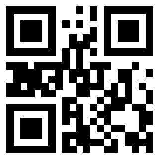 QrCode di 3919084931