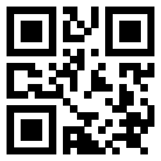 Il Qr Code di 3919084972