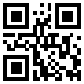 QrCode di 3919084984