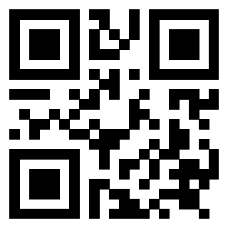 Il Qr Code di 3919084991