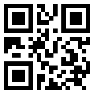 Il Qr Code di 3919085026