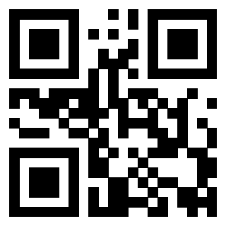 QrCode di 3919085048