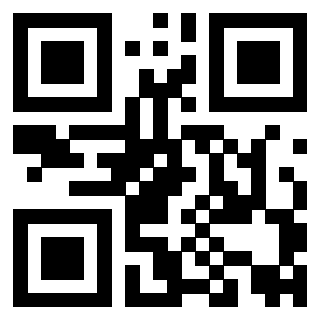 Il Qr Code di 3919085060