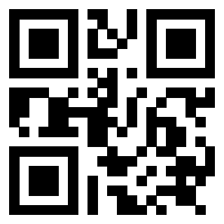 QrCode di 3919085070
