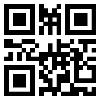 Il Qr Code di 3919085073