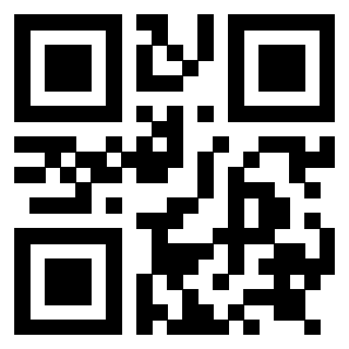 Il Qr Code di 3919085075