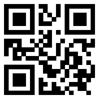 Il Qr Code di 3919085079