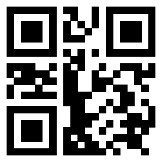 3919085080 Qr Code associato