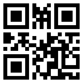 Il Qr Code di 3919085087