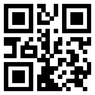 Il Qr Code di 3919085138