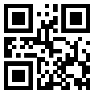 Il Qr Code di 3919085141