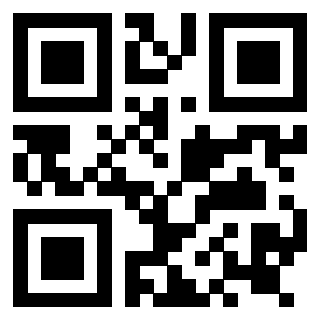 Il Qr Code di 3919144818