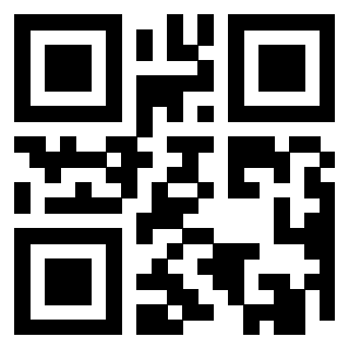 Il Qr Code di 3919144831