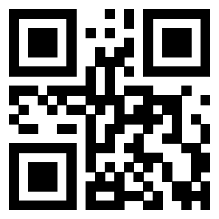 Il Qr Code di 3919144847