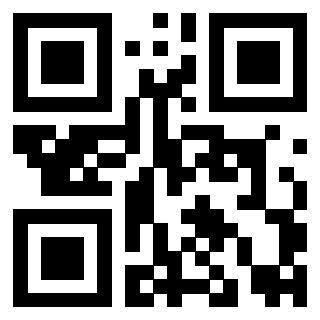 QrCode di 3919144873