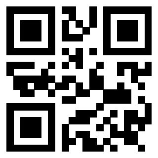 Il Qr Code di 3919144940