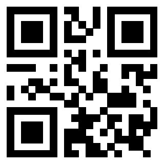 Il QrCode di 3919144941