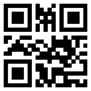 Il Qr Code di 3919144944