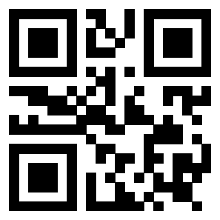 Il Qr Code di 3919144977